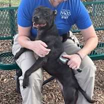 Thumbnail photo of LADY #2