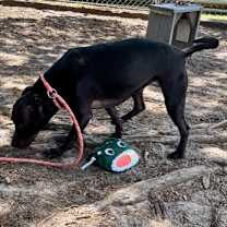 Thumbnail photo of LADY #3