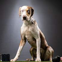 Thumbnail photo of Leah #2