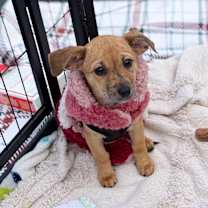 Thumbnail photo of Sprout #3