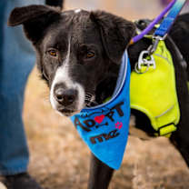 Thumbnail photo of Jinpa #3