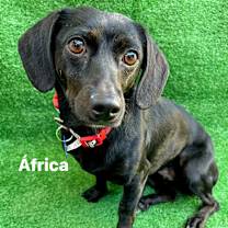 Thumbnail photo of Africa #1