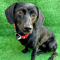 Thumbnail photo of Africa #2