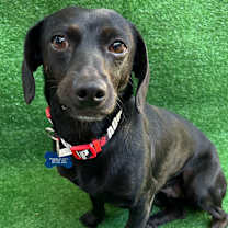 Thumbnail photo of Africa #3