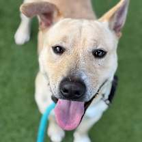 Thumbnail photo of Lowery #1