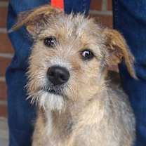 Thumbnail photo of Mily Way #1