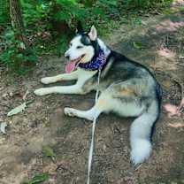 Thumbnail photo of Aurelius #3