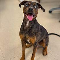 Thumbnail photo of Raya #1