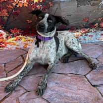 Thumbnail photo of Sienna #1