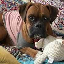 Thumbnail photo of Martie #1