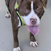 Thumbnail photo of Palmer #2