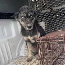 Thumbnail photo of Sushi #2