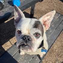 Thumbnail photo of Ellie #1