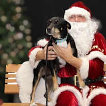 Thumbnail photo of Nacho #1