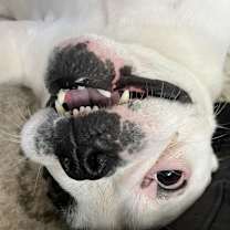 Thumbnail photo of Ellie #3