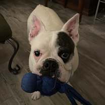 Thumbnail photo of Ellie #4