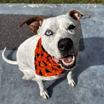 Thumbnail photo of Skyler #1