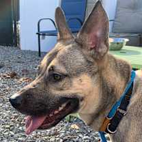 Thumbnail photo of Aria #1