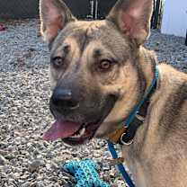 Thumbnail photo of Aria #4