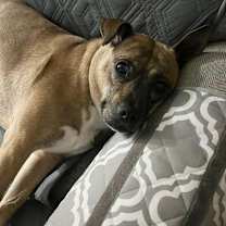 Thumbnail photo of Pinky #2