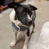 Thumbnail photo of Zeus #1