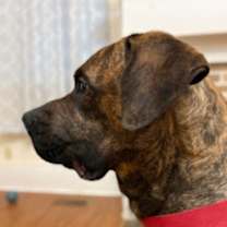 Thumbnail photo of Red #3