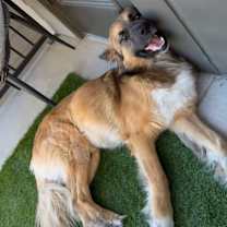 Thumbnail photo of Zion #3