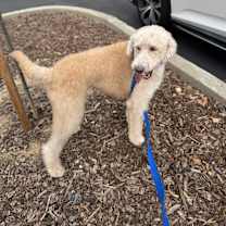 Thumbnail photo of PRINCE #1