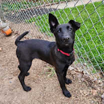 Thumbnail photo of Pandora #3