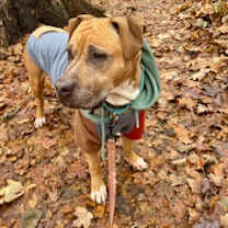 Thumbnail photo of Winifred #2