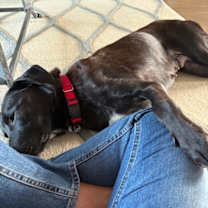 Thumbnail photo of Pandora 21977 #3