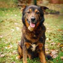 Thumbnail photo of Bear #3