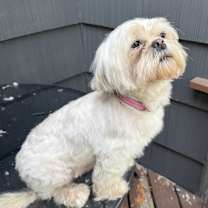 Thumbnail photo of peggie #1