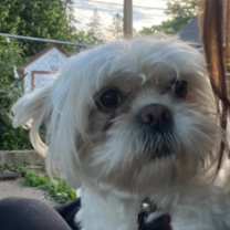 Thumbnail photo of peggie #3