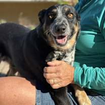 Thumbnail photo of Amos #2