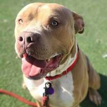 Thumbnail photo of Rylo #2