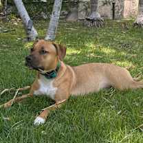 Thumbnail photo of Hana #1