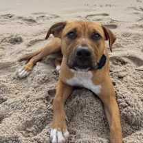 Thumbnail photo of Hana #2