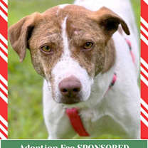 Thumbnail photo of Felicity #1