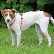 Thumbnail photo of Felicity #4