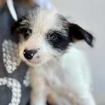 Thumbnail photo of Spot #2