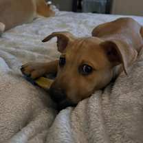 Thumbnail photo of Hutch B113 #3