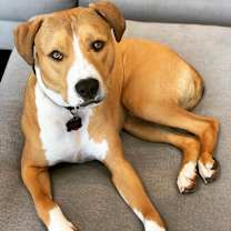 Thumbnail photo of Paco #2