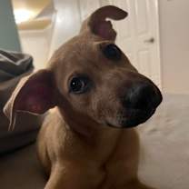 Thumbnail photo of Hutch B113 #4