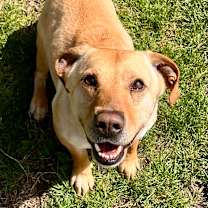 Thumbnail photo of Buddy #2