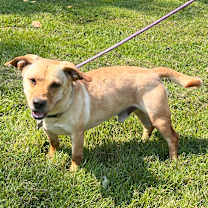 Thumbnail photo of Buddy #3