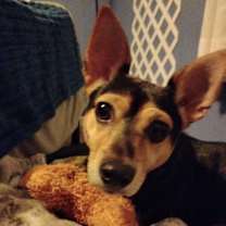 Thumbnail photo of Buddy #3