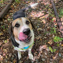 Thumbnail photo of Buddy #3