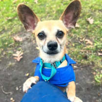 Thumbnail photo of Fernando #1