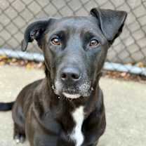 Thumbnail photo of Danita #1